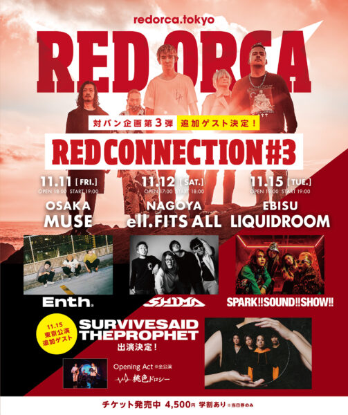 RED CONNECTION #3